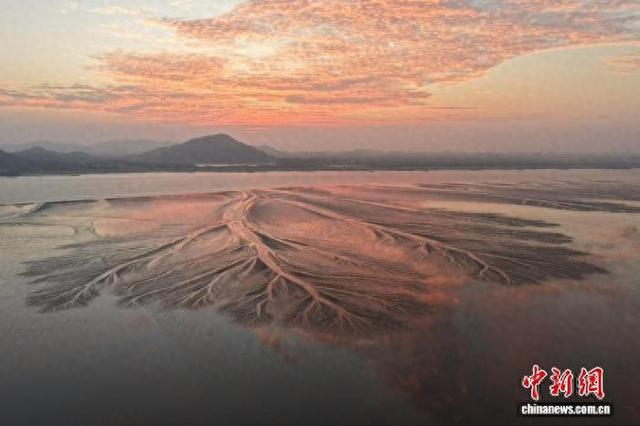 10月2日拍摄的钱塘江潮汐树。李靖 摄