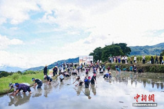 10月3日，“哈尼梯田泥泞挑战赛”比赛现场。施绍斌 摄