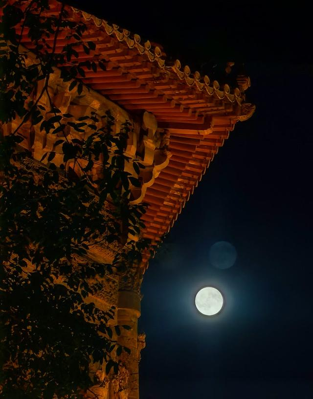 摄于北京玲珑公园 姚猛摄