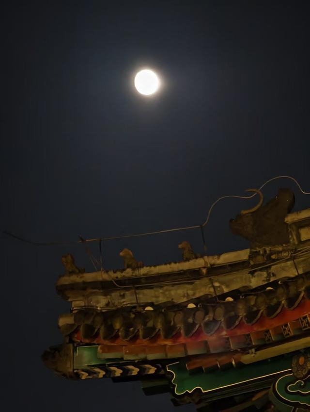 武辉摄