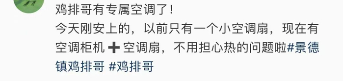 网友视频截图
