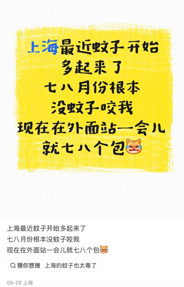 社交平台上，有网友指出“上海最近蚊子开始多起来了”。网络截图