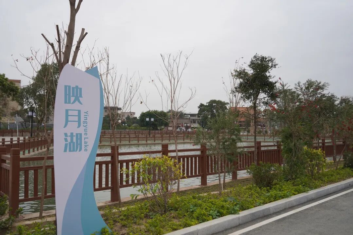 公馆镇圩镇新貌