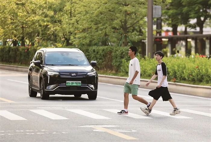 ■东莞司机礼让行人，成为斑马线前亮丽的风景 记者 潘畅 摄