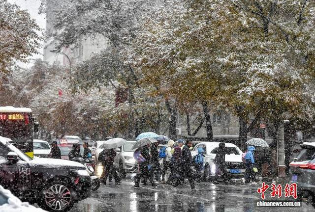 10月15日，新疆乌鲁木齐市降下皑皑白雪，市民在雨雪天气中出行。中新社记者 刘新 摄