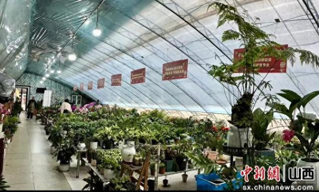山西省太原市晋源区的智慧花卉基地。梁月仙摄