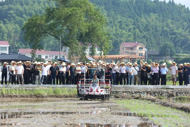 建宁县借助数字化技术大力推广农业机械化，让农民传统种田模式发生重大变化。 建宁县融媒体中心 图