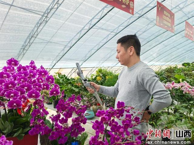 李洪亮正在直播，分享养花知识。梁月仙摄