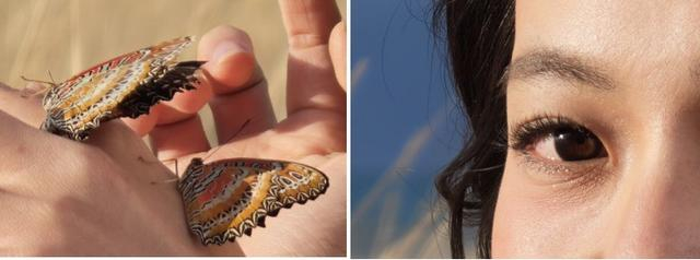 Find X9 Pro 哈苏 2 亿长焦原图局部裁切