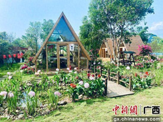 图为七星区方格子小院。王亚东 摄