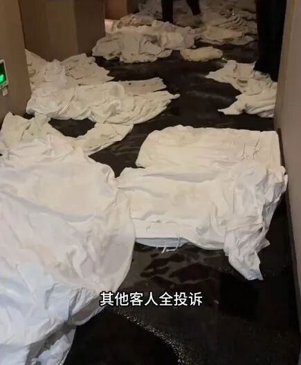 视频截图。图源：安徽经视
