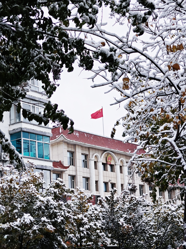 白雪点缀枝叶，五星红旗在建筑上空鲜艳飘扬。