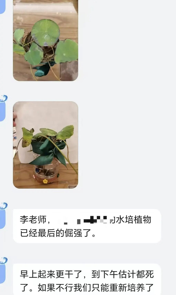 家长和李娜探讨种植情况。受访者供图