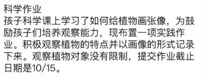老师布置的作业。受访者截图