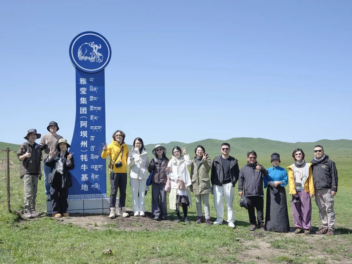 雅莹集团团队在四川阿坝牦牛基地参访交流