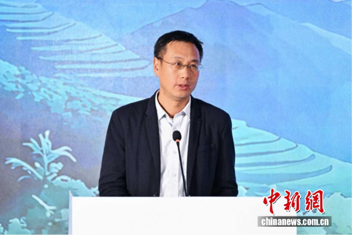 能源基金会城市与区域发展执行主任王志高 中新网记者 李骏 摄