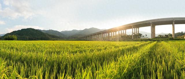 建宁县用数字化赋能农业生产。 建宁县委宣传部 供图