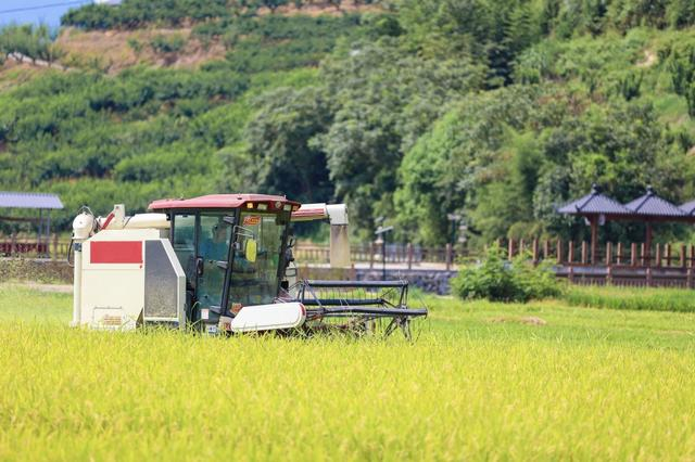 建宁县在农业生产中广泛使用农业机械。 建宁县融媒体中心 图