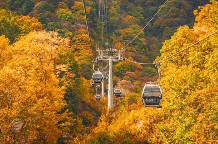 图据巴中文旅