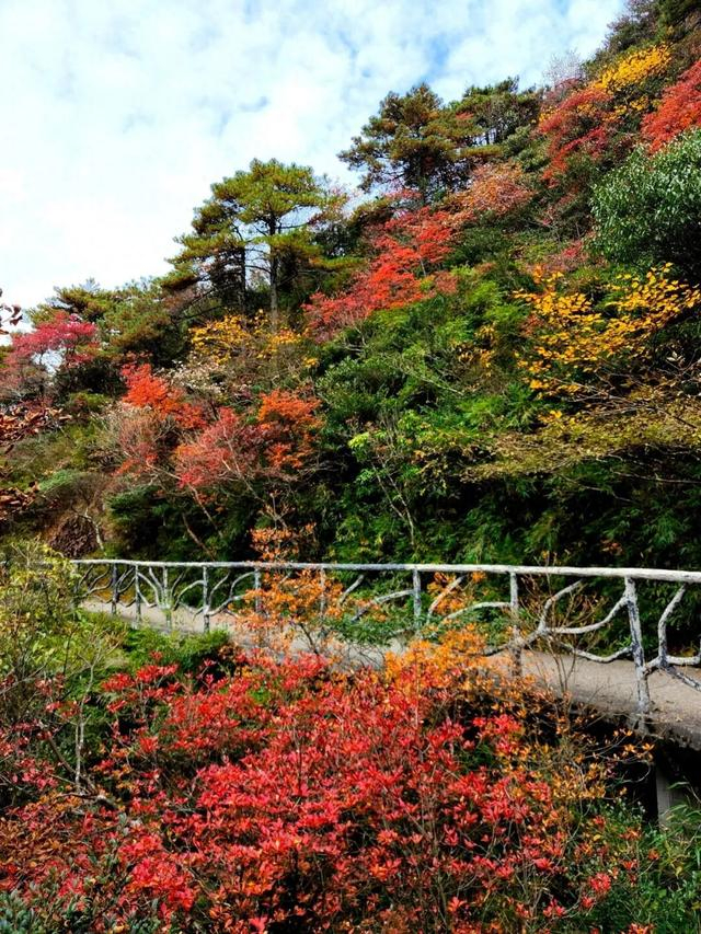 cms建站系统怎么用