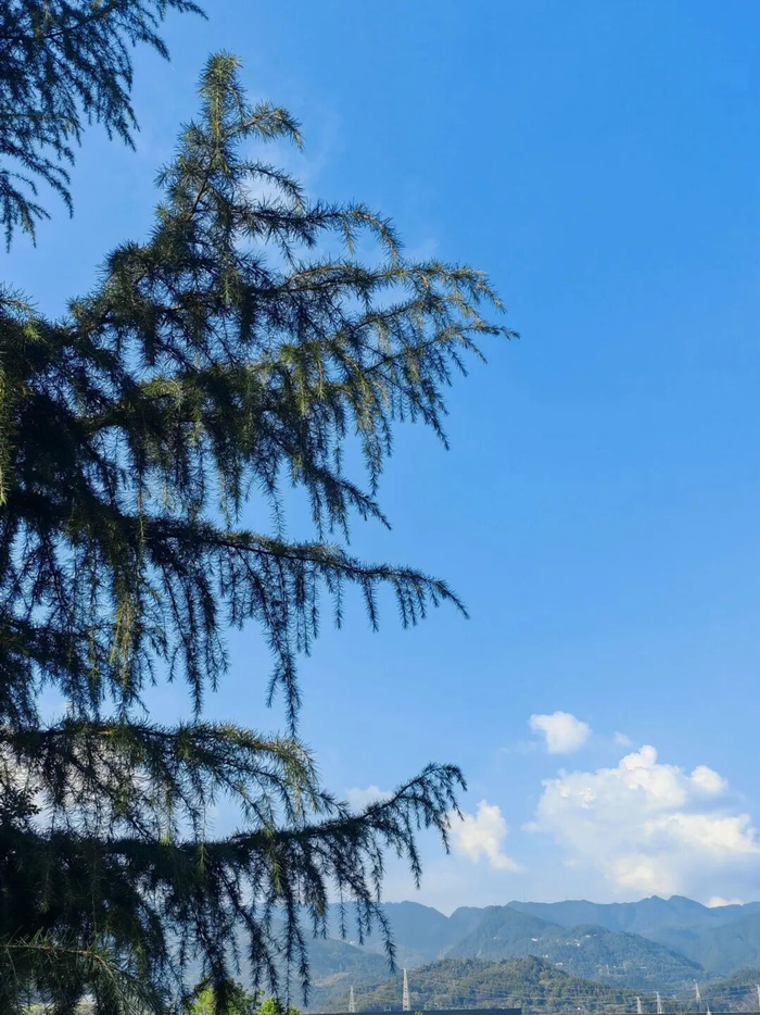 万州城区碧空如洗。（图源：网友）