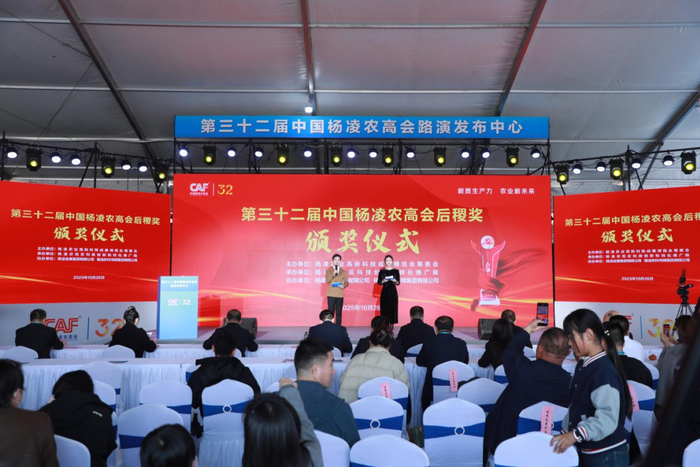 网上赌球输了近200个，好好的家庭搞的支离破碎，进工厂拿5000工资艰难还债，何为出头之日