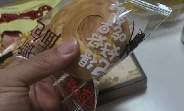 贾先生视频截图
