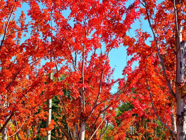 来源：北京日报客户端
