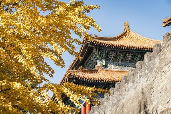 10月27日，随着北京迅速降温，北京故宫周边进入最佳赏秋时节。图为故宫西华门秋色。视觉中国供图