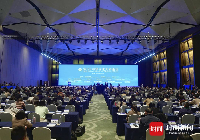 海内外专家共探文化遗产保护新路径 2025中华文化天府论坛成都开幕__财经头条__新浪财经