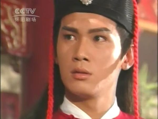 在《碧血青天杨家将》中饰演展昭