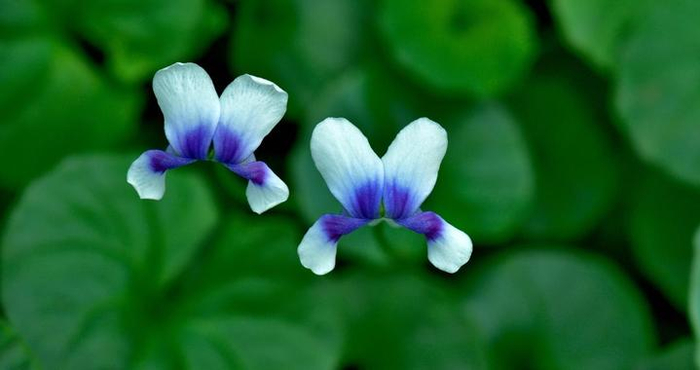 男人嫌弃你，不再用心爱你，别哭别闹，“反着来”是真聪明