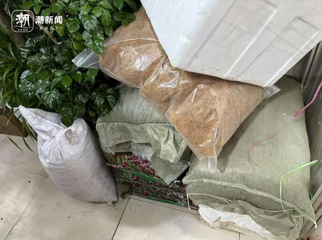 不少花卉店铺内，营养土被随意堆放在角落。记者 戴佳轶 摄
