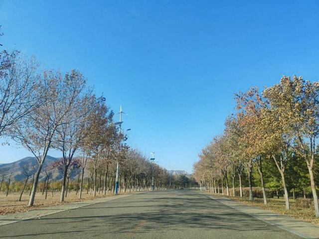 今天，呼和浩特市天空湛蓝。（图：王媛媛）