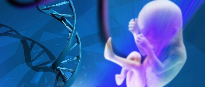 花钱改基因，硅谷富豪开始定制「完美后代」