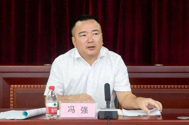 冯强（资料图）