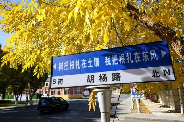 东风航天城内的路牌。新华社记者 李志鹏摄