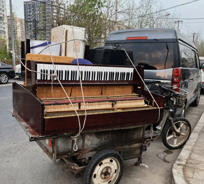       图源：小红书@杏仁的成长基地  