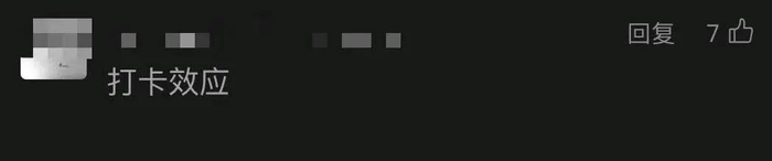 图源：网友评论