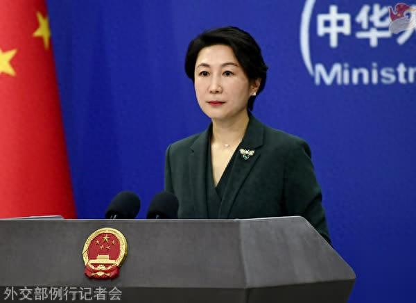 毛宁资料图。图源：外交部网站