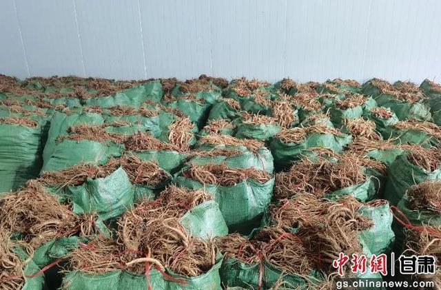 图为贵清山镇中药材喜获丰收。