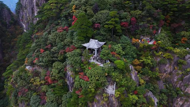 附近卖身电话100元现象调查,关于低价性交易的5个核心问题解析