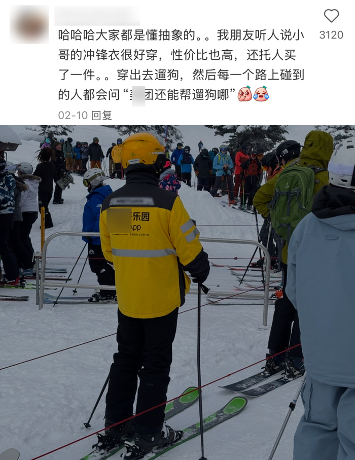 ▲图源：胖鱼的主人