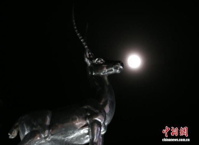 11月5日晚，“超级月亮”现身青海格尔木夜空。图为在青海省海西蒙古族藏族自治州格尔木市城区拍摄的“超级月亮”。 张忠苹 摄 