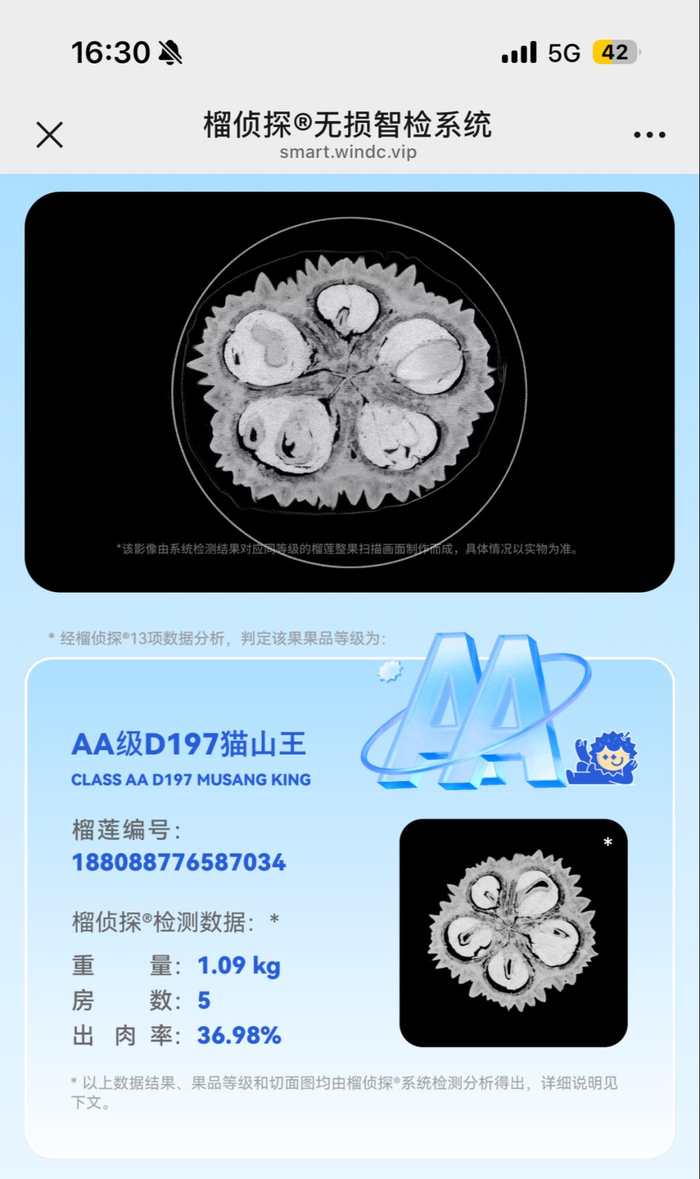 消费者可扫码查看榴莲情况。澎湃新闻记者 徐亦嘉 图