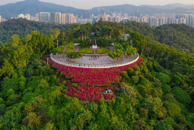 深圳莲花山公园 视觉中国 图