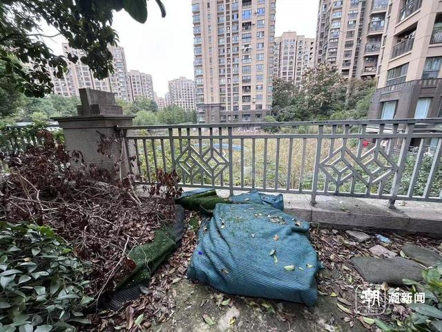 小区入口处人工湖 徐叔竞/摄