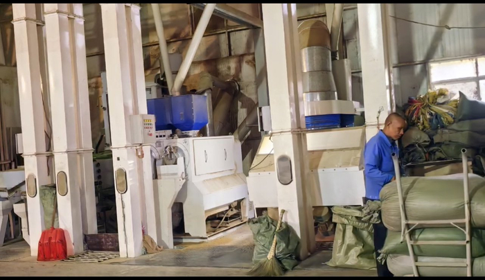 咖啡期货走势图