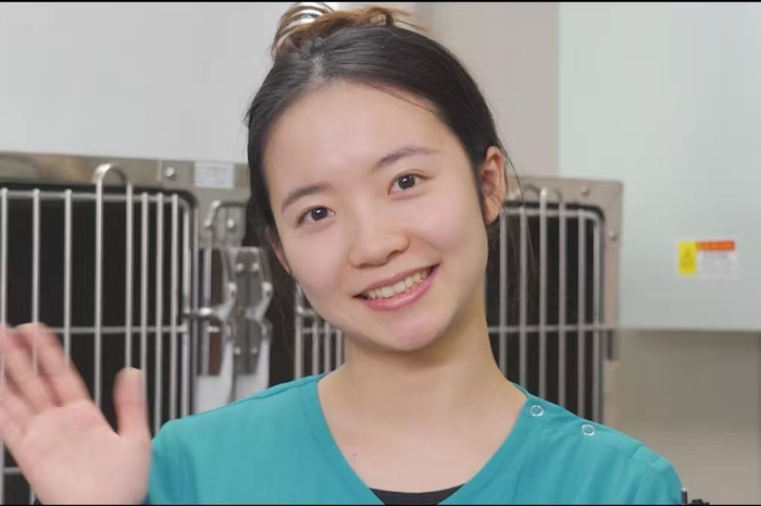 新瑞鹏人才成长阶梯，从校园实习生到见习兽医师的“信赖与传承”__财经头条__新浪财经