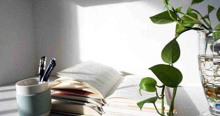 如果你的父母很偏心，而你恰好是不被待见的，那就不要和他们纠缠